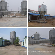 Jinfeng Feed Silo pour poulet / porc